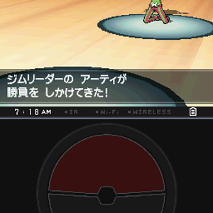 Gym Leader Burgh!