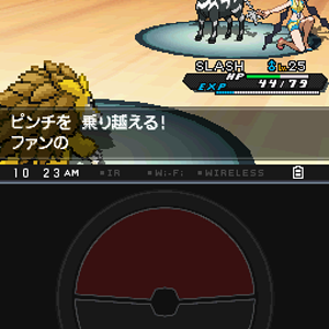 Last pokemon!