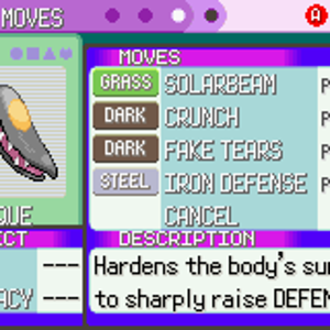 Pokemon   Emerald Version (U) 07