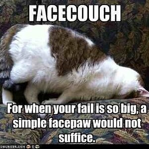 FACE COUCH