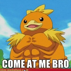 Watch out! We have a torchic over here!