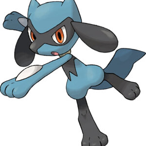 riolu

Attacks:
- Copycat
- Protect
- Brick Break
- Payback