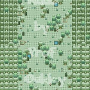 First and only route, Forest Path