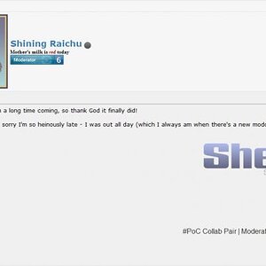 Shining Raichu - Sheik