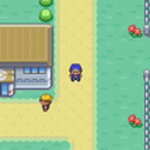 Celurean City chancehd a little bit.