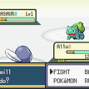 Water blues starter Poliwag fighting with rivals starter Bulbasaur.