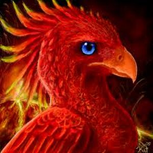 phoenix of the volcanoes