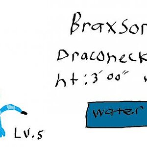 Braxor