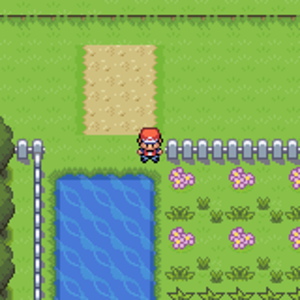 Route 21
