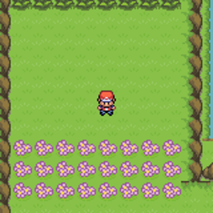 Route 1