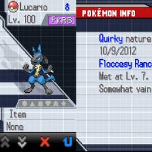 Team - Lucario