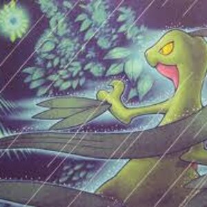 Grovyle, the character that makes me the most emotional in PMD due to its humorous story