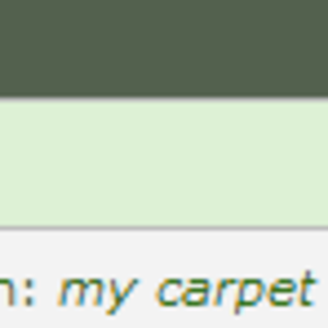 I want the carpet. xD