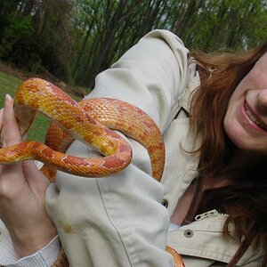 This is me and my pet snake Nessy. She's my mini lockness monster. She's a beautiful corn snake that I rescued from PetSmart lol. This is my intense f