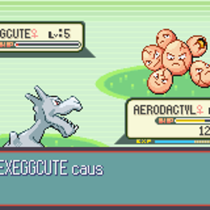 Pokemon Ruby 05