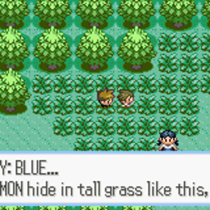 Pokemon Ruby 07