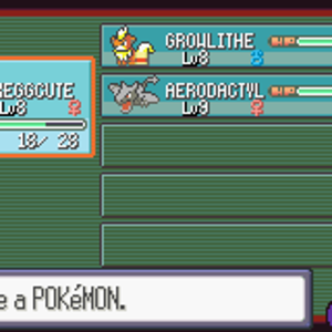 Pokemon Ruby 08