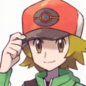 Custom trainer image