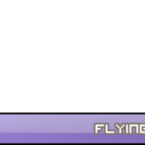 FlyUser