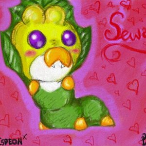 Sewaddle