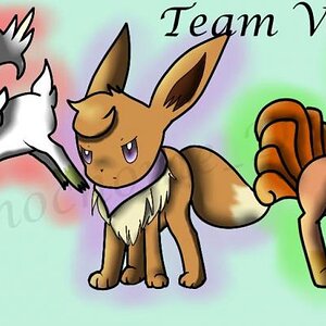 Wow, this looks like something you'd see for Warriors: The 
Power of Three or something XD But yeah, this is my team from Pokemon Mystery Dungeon Expl
