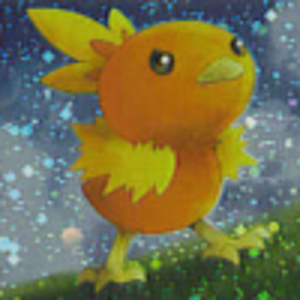 torchic5