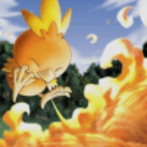torchic6