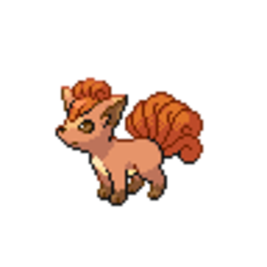 037. Vulpix. Red. I caught Little Red as a baby Vulpix. My fourth and final Pokemon to join Tean FireLeaf.