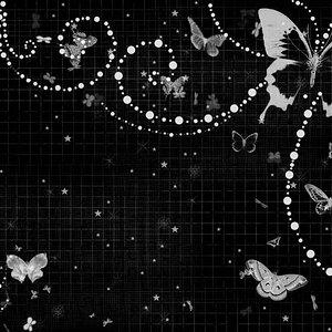 black butterfly wallpaper 4662