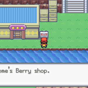 Your friend's berry shop :)
