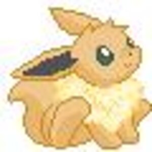 Cute lil' Eevee~