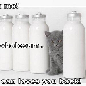 *jumps up and down* Pick Neko! Pick Neko!!! xD *dies*