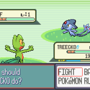 Pokemon Ruby Mystery of Darkness 08