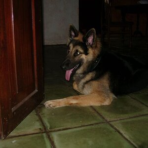 DSC00191