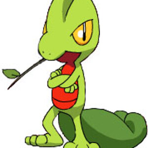 treecko