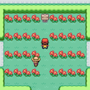 flower yard
