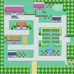 pewter city full map