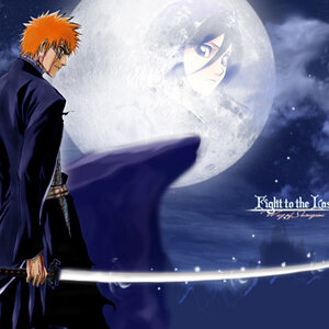 bleach28 2[1]