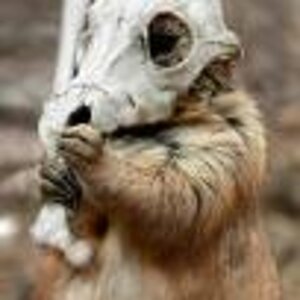 MR7FQHCA6YYUEBCAW3D0X5CAI3VOVXCAYUUE3ICAVOP1H8CAOTM4PCCA2N75DJCAY8IXXSCACEOKHVCA53OIGCCARITULCCALNB2IYCABOO063CAG1X0GWCAXUTZQ4CAA4VO68CA7A4QPBCABM3YJO