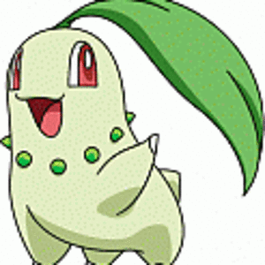 Chikorita ROX