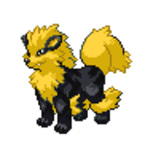 shadow arcanine
