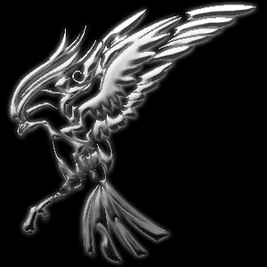 awesome pidgeot

I did a bit of messing around with a pic off the net