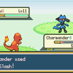 Iron Slash on Wild Riolu