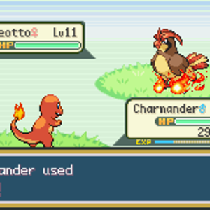 Wild Pidgeotto