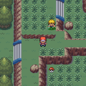 Abandoned Forest