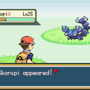 Wild Skorupi
