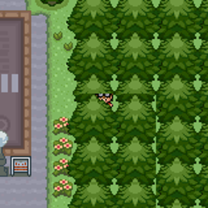 Pokemon Glazed tree glitch