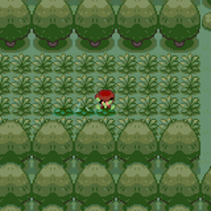 Glitched tile in Pokemon Adventure Red for creator's sake.
The tiles are all four in the straight line there. The one south of Red, the one Red is sta