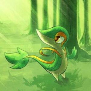 Snivy Drawing (Not drawn by me)