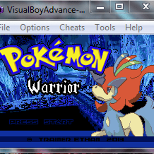 Pokemon warrior